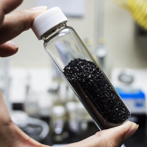 AdobeStock_182652559 AdobeStock_182652559